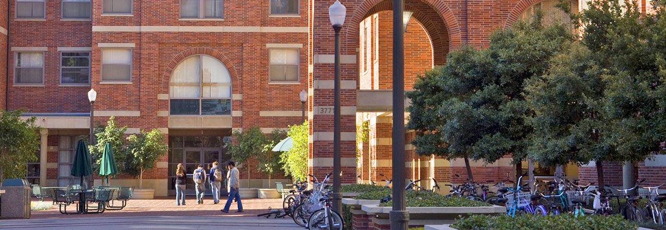 International RC 1300x450