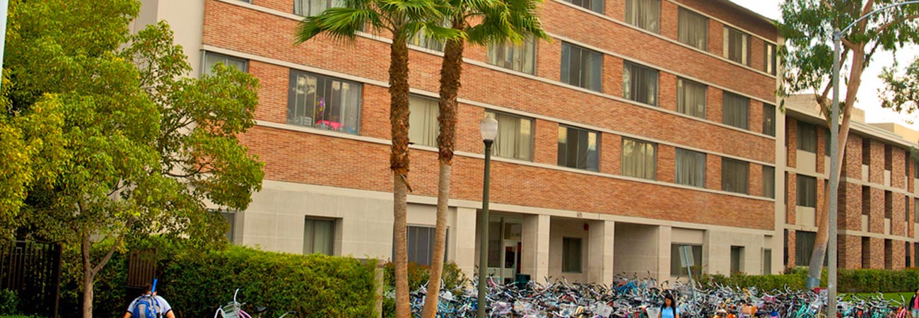 New North RC 1300x450